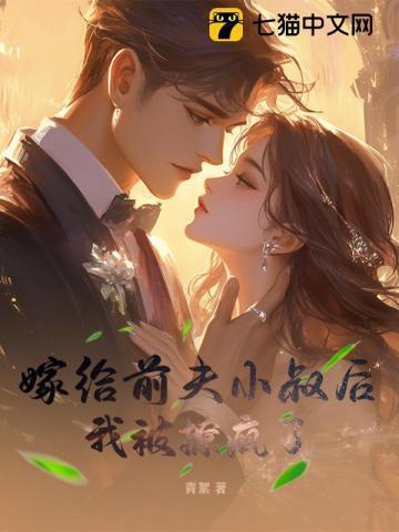 嫁给前夫小叔后,我被撩疯了