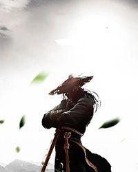 华娱是一个导演